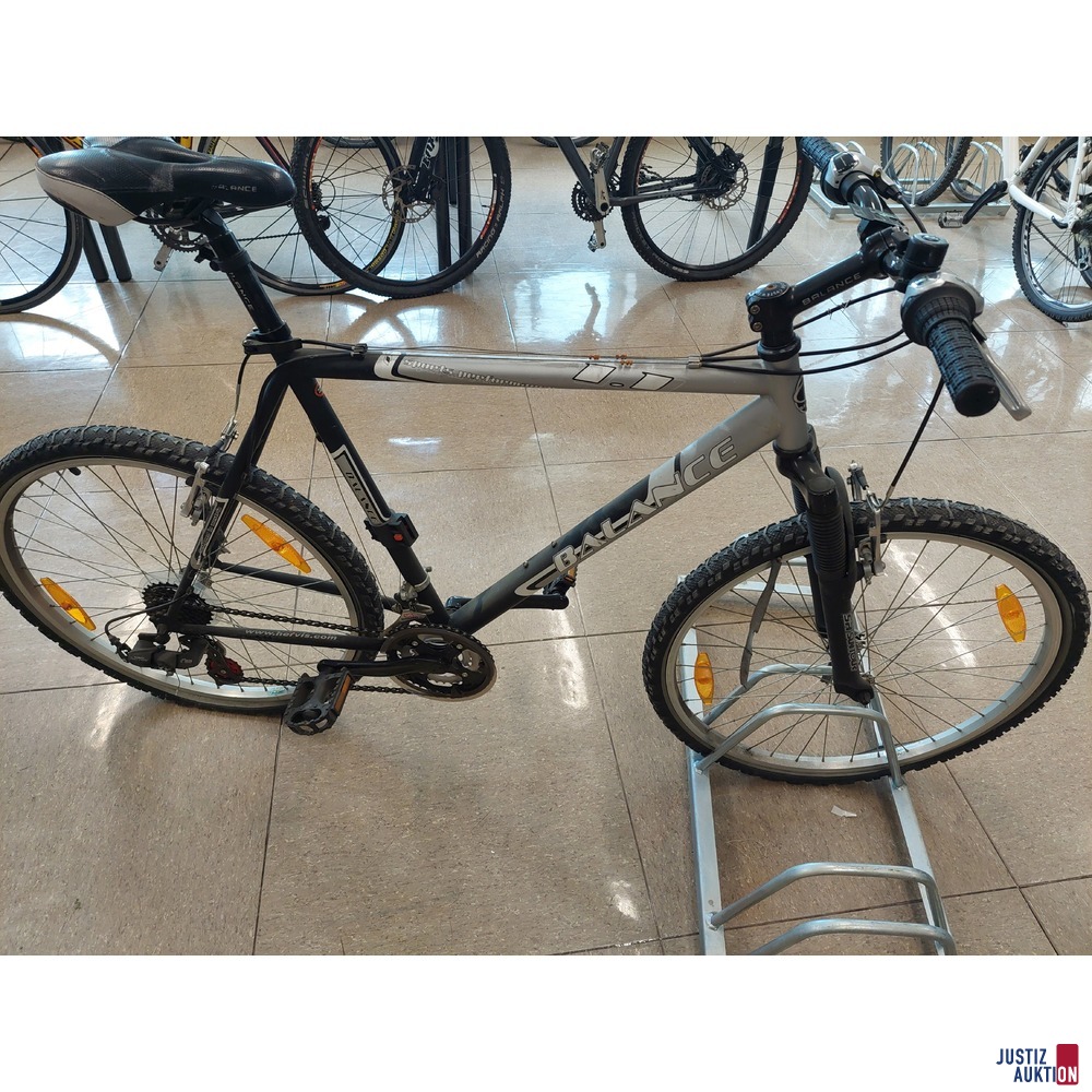 Fahrrad der Marke Balance Sports Performance 1.1