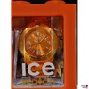 Ice-watch